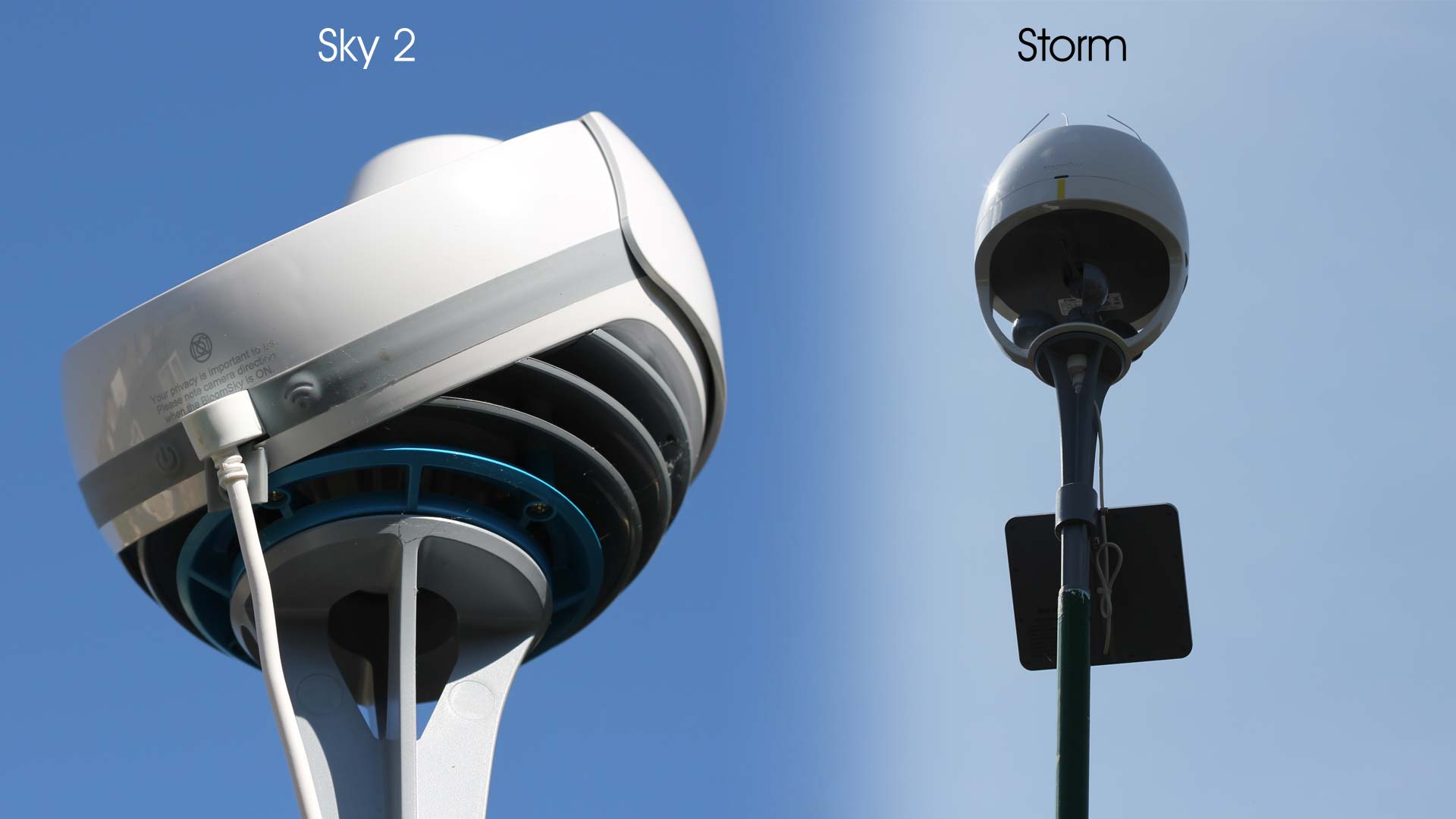 Bllomsky-and-Storm.jpg