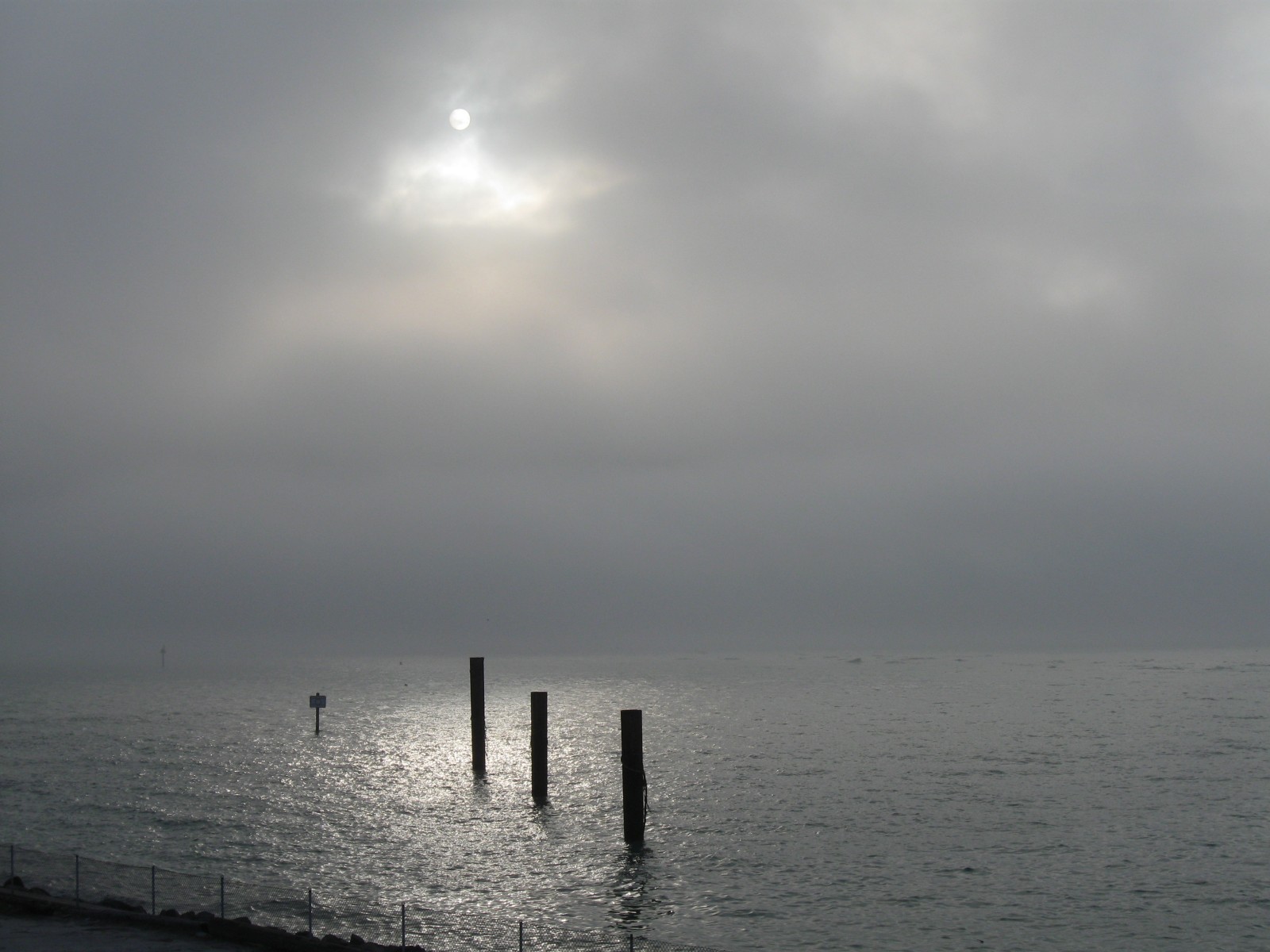 JohnsPass012210_28.jpg