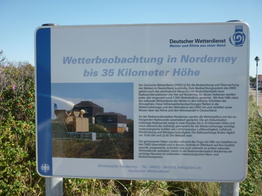 P1130477.jpg