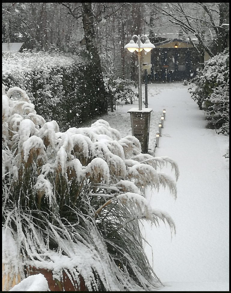First snow