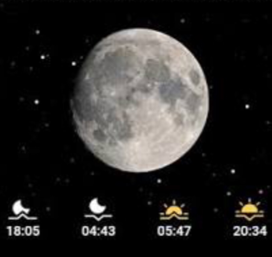 CC8F3DA2-50DE-4AA7-960D-0435D2FF9319.jpeg