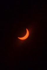 IMG_2010.JPG